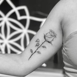 Zen Ink