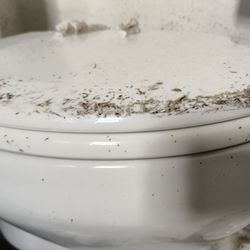 WM Plumbing Septic Tank & Grease Trap