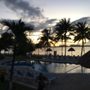 Photo of Coral Mar