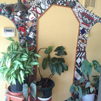 Jamo's Cafe - Interesting decor! - Mediterranean Near Me - Huntsville, Alabama Jamo's Cafe - Interesting decor! - Mediterranean Near Me - Huntsville, Alabama