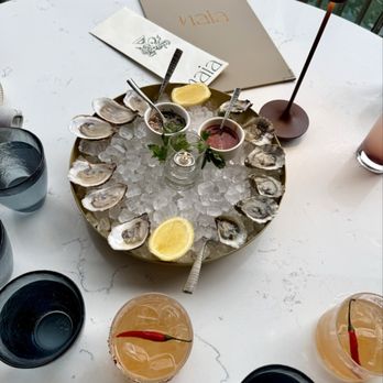 NAIA - Oysters (west coast on left, east coast on right) - Mediterranean Near Me - Chicago, Illinois NAIA - Oysters (west coast on left, east coast on right) - Mediterranean Near Me - Chicago, Illinois
