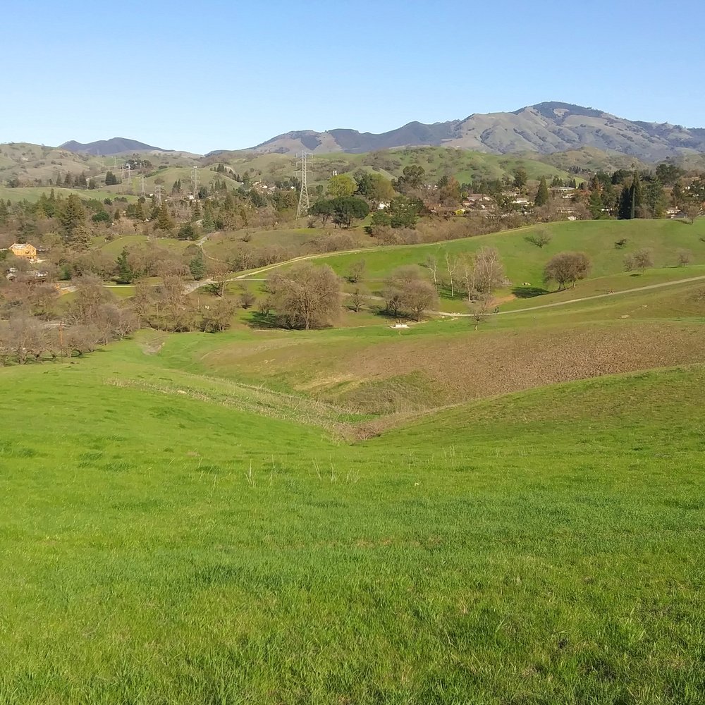 Sugarloaf Open Space - View from the top - Hiking Near Me - Walnut Creek, California Sugarloaf Open Space - View from the top - Hiking Near Me - Walnut Creek, California