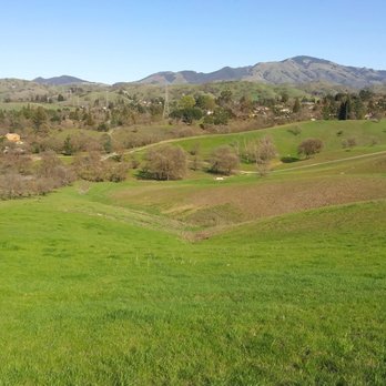 Sugarloaf Open Space - View from the top - Hiking Near Me - Walnut Creek, California