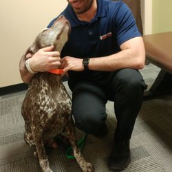 Canyon Crossing Chiropractic - Thank you Dr.Brown! Ernie is feeling much better! He is playing in the snow like he is a puppy again! He also enjoyed his visit.