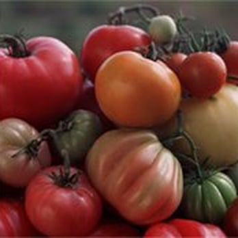 Fresh and Local CSA - Heirloom's Have the Best Flavors - Farms Near Me Fresh and Local CSA - Heirloom's Have the Best Flavors - Farms Near Me
