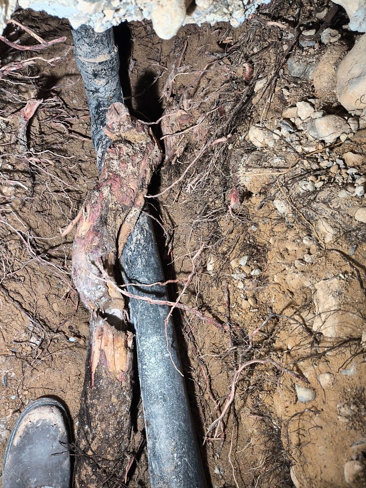 Slide of Resolution Plumbing