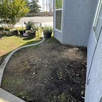 Central Valley Tree Service - After removal - Tree Services Near Me - Bakersfield, California Central Valley Tree Service - After removal - Tree Services Near Me - Bakersfield, California