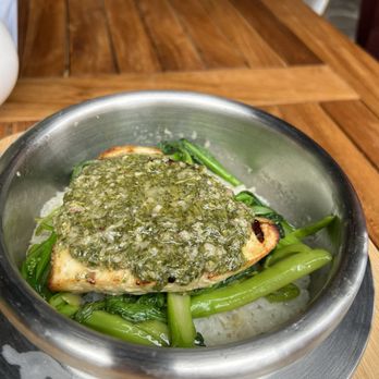 The Crouching Lion - Swordfish with Chimichurri sauce over rice - Lunch special - Beer Bar Near Me - Kaaawa, Hawaii