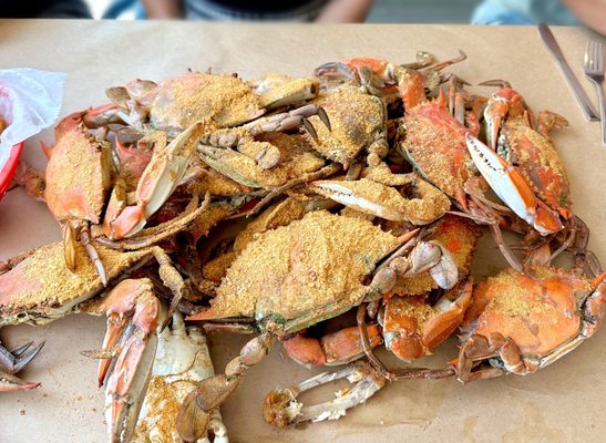 Fisherman's Crab Deck by null