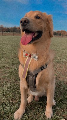 Wolfhill Recreation Area