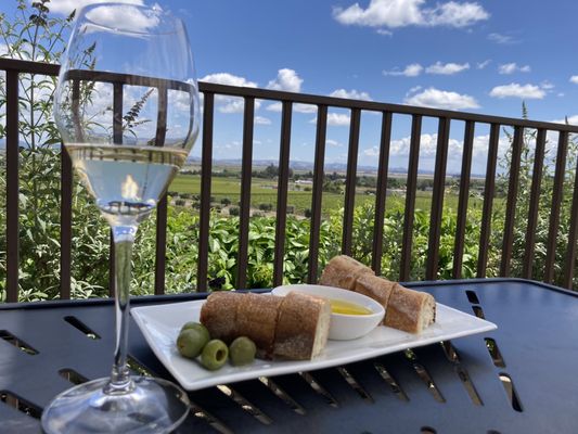 Gloria Ferrer Wines by null