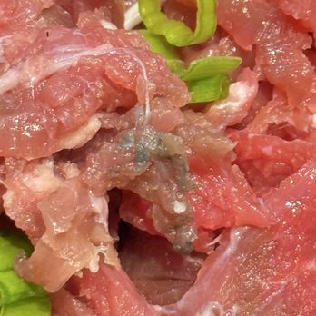 Pho Play - Blue/green rotting meat. - Vietnamese Near Me - Castro Valley, California Pho Play - Blue/green rotting meat. - Vietnamese Near Me - Castro Valley, California