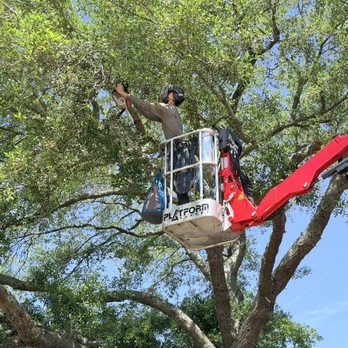 Durham Parkers Tree Service - This is challenging work, to say the least. Protective measures are always required. - Tree Services Near Me - Atlantic Beach, Florida Durham Parkers Tree Service - This is challenging work, to say the least. Protective measures are always required. - Tree Services Near Me - Atlantic Beach, Florida