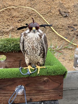 Ramona Ranch Winery by null