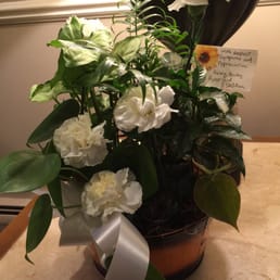 Plant we ordered.