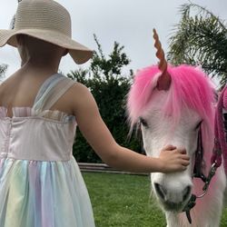 Pony Party USA - Marshmallow the unicorn.