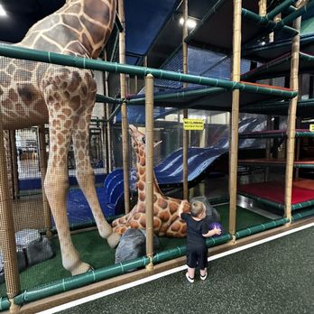 Safari Run - Safari animals - Kids Activities Near Me - Plano, Texas Safari Run - Safari animals - Kids Activities Near Me - Plano, Texas
