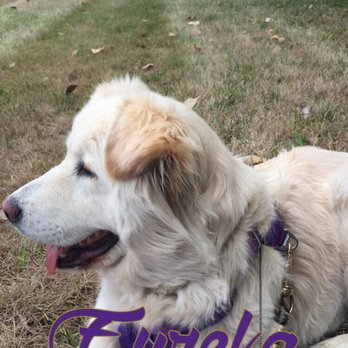 Byerly RV Center - Byerly's had a great space for us to hang out with our animals while they were working in our camper too! - RV Dealers Near Me - Eureka, Missouri