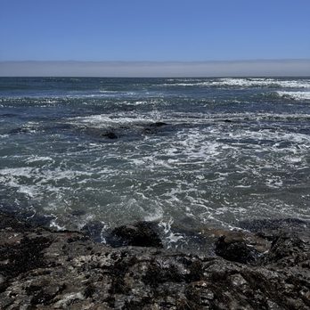 Davenport Landing Beach - Beaches Near Me - Davenport, California Davenport Landing Beach - Beaches Near Me - Davenport, California