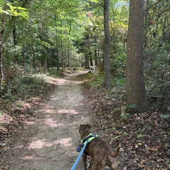 Westmoreland State Park - The trail down to fossil beach is nice. - Parks Near Me - Montross, Virginia