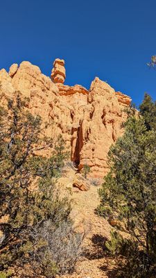 Dixie National Forest by null