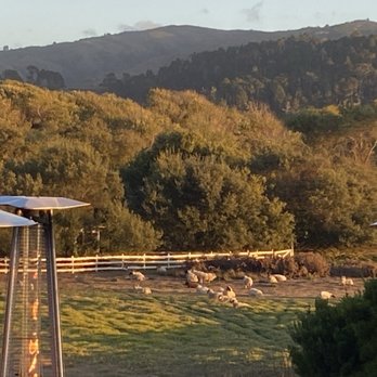 Mission Ranch - Find the black sheep.... - Venues & Event Spaces Near Me - Carmel, California Mission Ranch - Find the black sheep.... - Venues & Event Spaces Near Me - Carmel, California