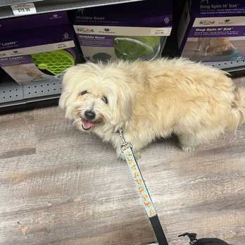 Hollywood Feed - Pet Stores Near Me - Chamblee, Georgia