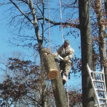 Hopes Tree Service - Tree Services Near Me - Chenoa, Illinois