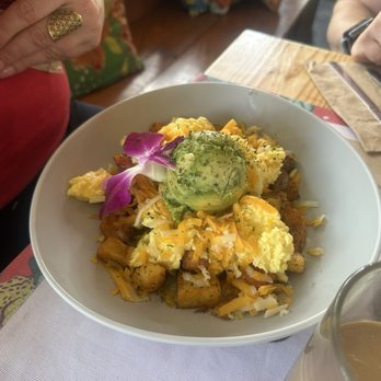 Bulegreen Cafe Yard - Breakfast Bowl - Cafes Near Me - Oakland Park, Florida Bulegreen Cafe Yard - Breakfast Bowl - Cafes Near Me - Oakland Park, Florida