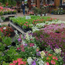 McCue Garden Center