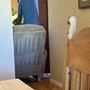 Carpet Police