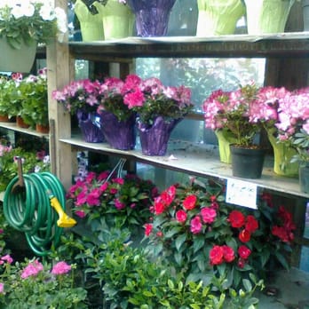 Verni's Garden Center - Nurseries & Gardening Near Me - East Elmhurst, New York Verni's Garden Center - Nurseries & Gardening Near Me - East Elmhurst, New York