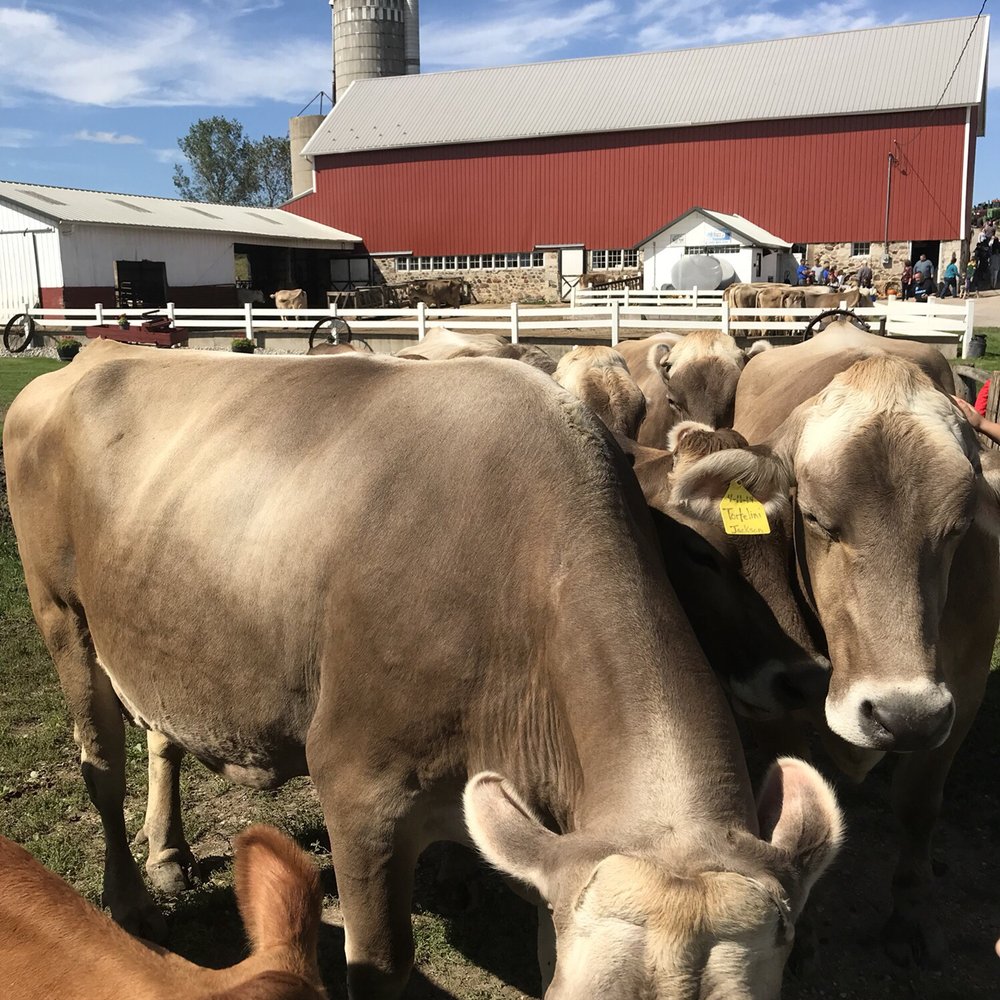 Cozy Nook Farm - Attraction Farms Near Me - Waukesha, Wisconsin
