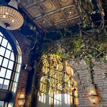 Brick & Brew - I love the moss growing on the walls - Pizza Near Me - Havertown, Pennsylvania Brick & Brew - I love the moss growing on the walls - Pizza Near Me - Havertown, Pennsylvania