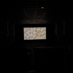 Large screening room