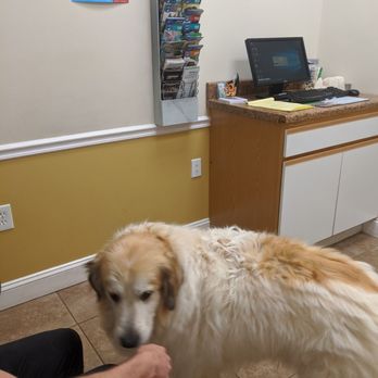 Potomac Valley Veterinary Hospital - Consultation room - Veterinarians Near Me - Fairfax, Virginia Potomac Valley Veterinary Hospital - Consultation room - Veterinarians Near Me - Fairfax, Virginia