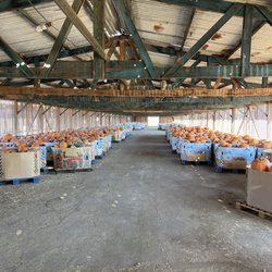 California Farm Life