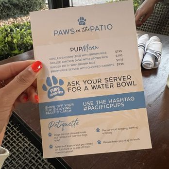 Pacific Catch - Sushi Bars Near Me - Santa Clara, California