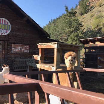 Tumbling River Ranch - Guest Houses Near Me - Grant, Colorado