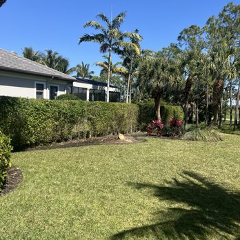ACEJ Landscaping - After trimming oak tree - Landscaping Near Me