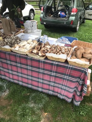 Saucon Valley Farmers' Market by null