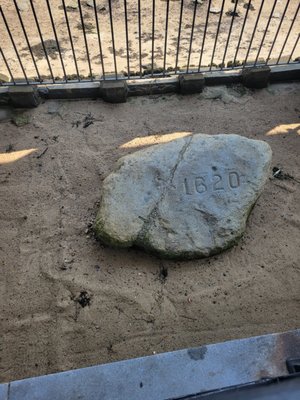 Plymouth Rock by null
