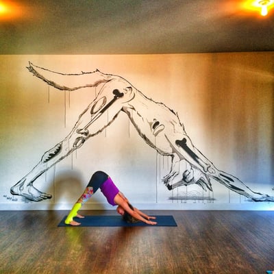 One Down Dog | Yoga + Fitness Studio by null