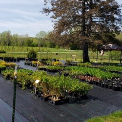 Dunn Nursery