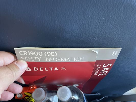 Delta Air Lines by null
