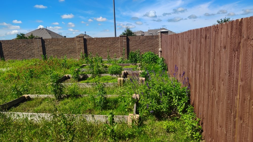 Mow Pros Lawn Landscaping - tree service in Fort Worth, TX