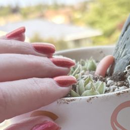 Pretty nails with my little succulents! Pretty nails with my little succulents!