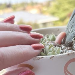 Soh Nails & Spa - Pretty nails with my little succulents!