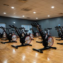 Gym Plus Naas