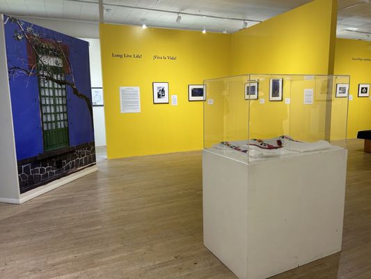 El Museo Latino by null